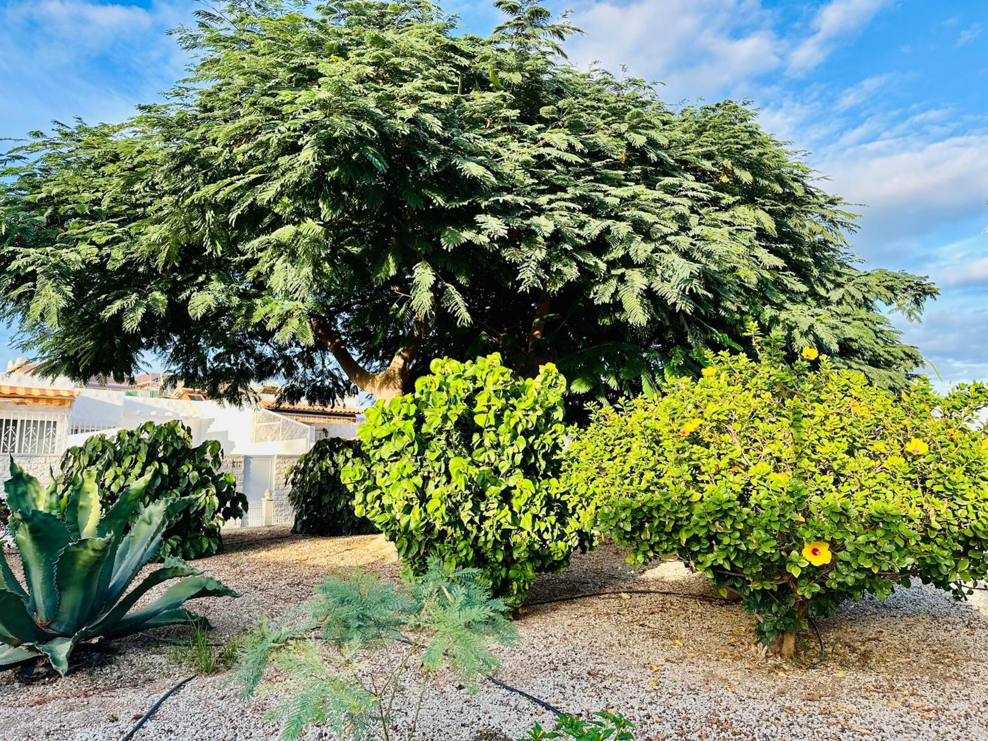 Casa Una Bungalow Delux Arona  Exteriör bild